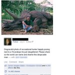 [썰모아] <b>멸종</b>위기 코뿔소 살육하는 스티븐 스필버그 감독