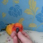 보고싶은 풀잎아~~