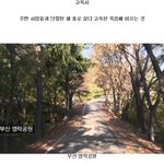 [추억파리여] 43세 그녀의 외로운 <b>고독사</b>