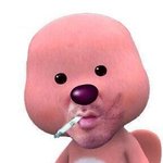 [EXO] ㅋㅋㅋㅋㅋ근데 머글들 존나 이해안가는게