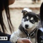 오랜만에 보는 <b>추억의</b> 개시리즈