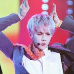 [exo] 야엑소 애기늑대키움?