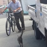[EXO] 동네 고양이~