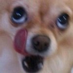 [EXO] 아<b>철장</b>에있는세훈이를볼수있는기회였는데...