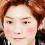 [EXO] 어그로 <b>출몰</b>이요 다들 먹금하시길