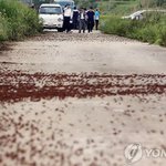 [EXO] 진짜 비슷하네