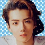 [EXO] 이거 <b>아이린</b>섞은거같음ㅋㅋ둘이닮았쪙