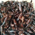[exo] 이거 맛있겠징?