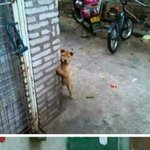 [펌질] 사진두장 1. <b>간절</b>함  2.극혐주의