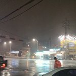 [야롱야롱] 이쁜이 돌봄기