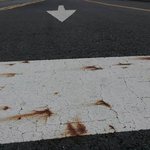 [추억파리여] (한국)방사능에 <b>오염</b>된 도로와 아파트