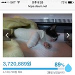 [EXO] 이거보고 눈물고임