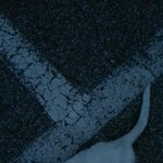 [EXO] 내친구길고양이만났나봐ㅠㅠ