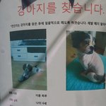 <b>찌</b>루를 찾아주세요.