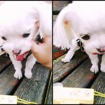 [EXO] 아까 찍었는데 개예쁘지 않아?