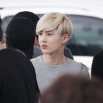 [수호] 금발수호