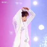 [EXO] 오늘도 엑소 공연가자나