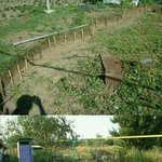 [오핫] 셀프 럭셔리 수영장 만들기