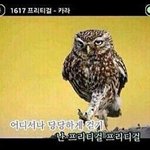 [오핫] 굉장히 직관적인 노래방 화면.jpg