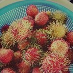 [EXO] 이거맛있겟지????