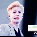 [EXO] 반애가 수호보더니