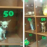 [나니] 외국의 <b>물품</b>보관함