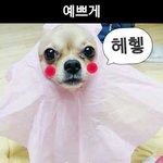 밥 <b>고파</b>!