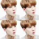 [EXO] 니들 카트보러갔는데 초딩들이소리꺅꺅지르면어예할거?