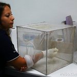 [썰모아] <b>일당</b> 30만원 받는 꿀알바