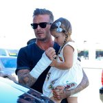 데이비드 <b>베컴</b> 딸이 부러워지는 순간