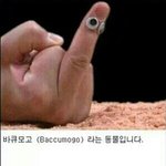 [EXO] 혐줌5명<b>서식</b>중