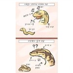 [추억파리여] 비단뱀의 <b>상상</b>과 현실 jpg