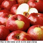 알아두면 <b>유용</b>한 25가지 사실