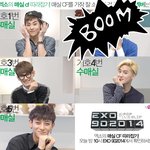[EXO] <b>매실</b>보이즈