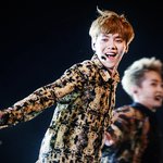 [EXO] 내일 자카르타에 한이 나타나면 니들 개쪽이다