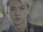 [EXO] 12기 뮤비 복습하는데 애들 <b>애절</b>한 연기 잘하는고만