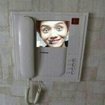 [EXO] 그냥여친인척관<b>종년</b>들다줘패버리고싶다