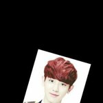 [EXO] 찬열이 <b>운전</b>면허사진 이런모습이야?