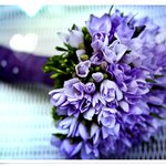 [신천지] 이단 신천지? 그 실체를 알려드려요