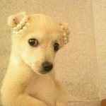 [EXO] 애들아너희오늘벽반뛸꺼야?