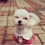 [EXO] 시발 내<b>뱃속</b>엔 거지새끼가들었나