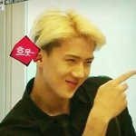 [EXO] 여자 눈크기 평균이 가로는