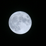 <b>달님</b>이 떴네