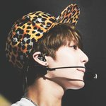 [샤이니] 솔로활동 