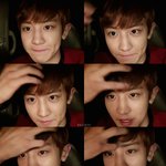 [EXO] 둘기 <b>한국</b>오면<b>안</b>돼