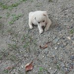 [인피니트] 나도봤어