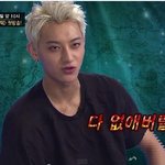 [타오] 타오의 험난했던 <b>정글</b>여행