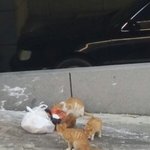 [EXO] 일주일전에ㅈ알바갈려고나왔는데