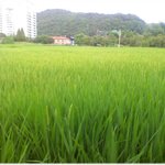 [유익한글] * 현명한 사람의 6가지 정신적 특징 *