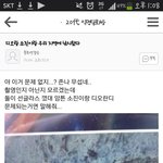 [EXO] 다리모양도 그렇고 경수 <b>구부정</b>한자세